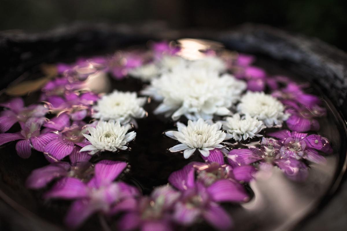 Orchideen und Chrysanthemen schwimmen in einer dunklen Schale
